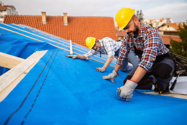 Best Roof Leak Repair  in Taylor Creek, OH