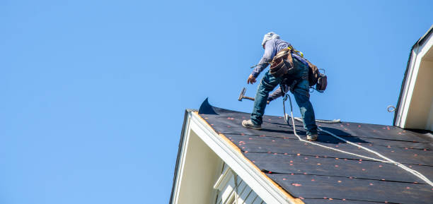 Best Roof Repair Services  in Taylor Creek, OH